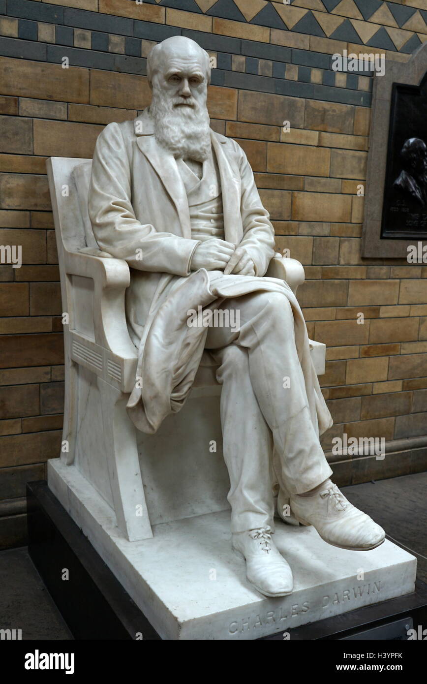 Statue of Charles Darwin (1809-1882) an English naturalist and geologist. Dated 21st Century Stock Photo