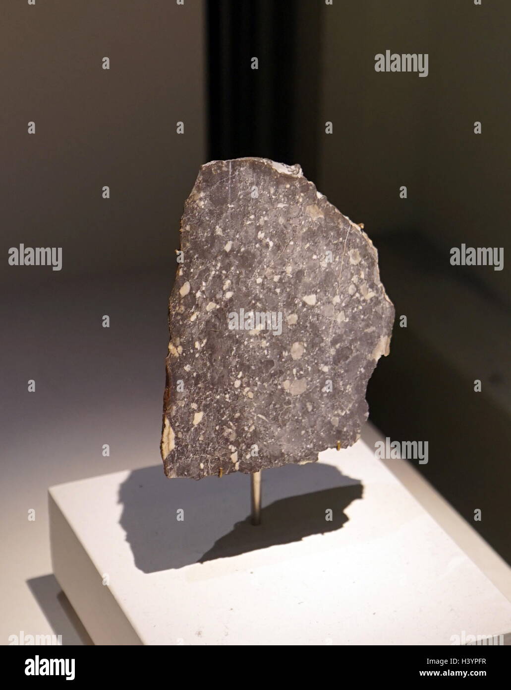 The lunar meteorite Dar al Gani 400, is the largest lunar