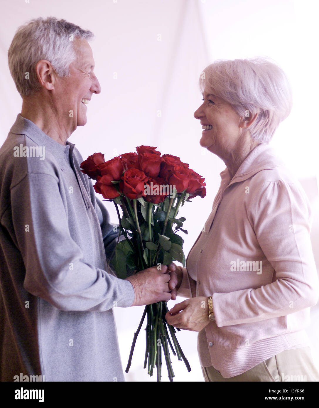 Senior citizen's couple, bunch of roses, hand, eye contact, at the side, couple, senior citizens, old person, 55 - 65 years, 50-60 years, 60-70 years, Best of all Age, middle old person, bouquet, flowers, roses, rose gentleman, marriage proposal, present, attention, surprise, love, affection, allowance, partnership, dear proof, happily, Stock Photo