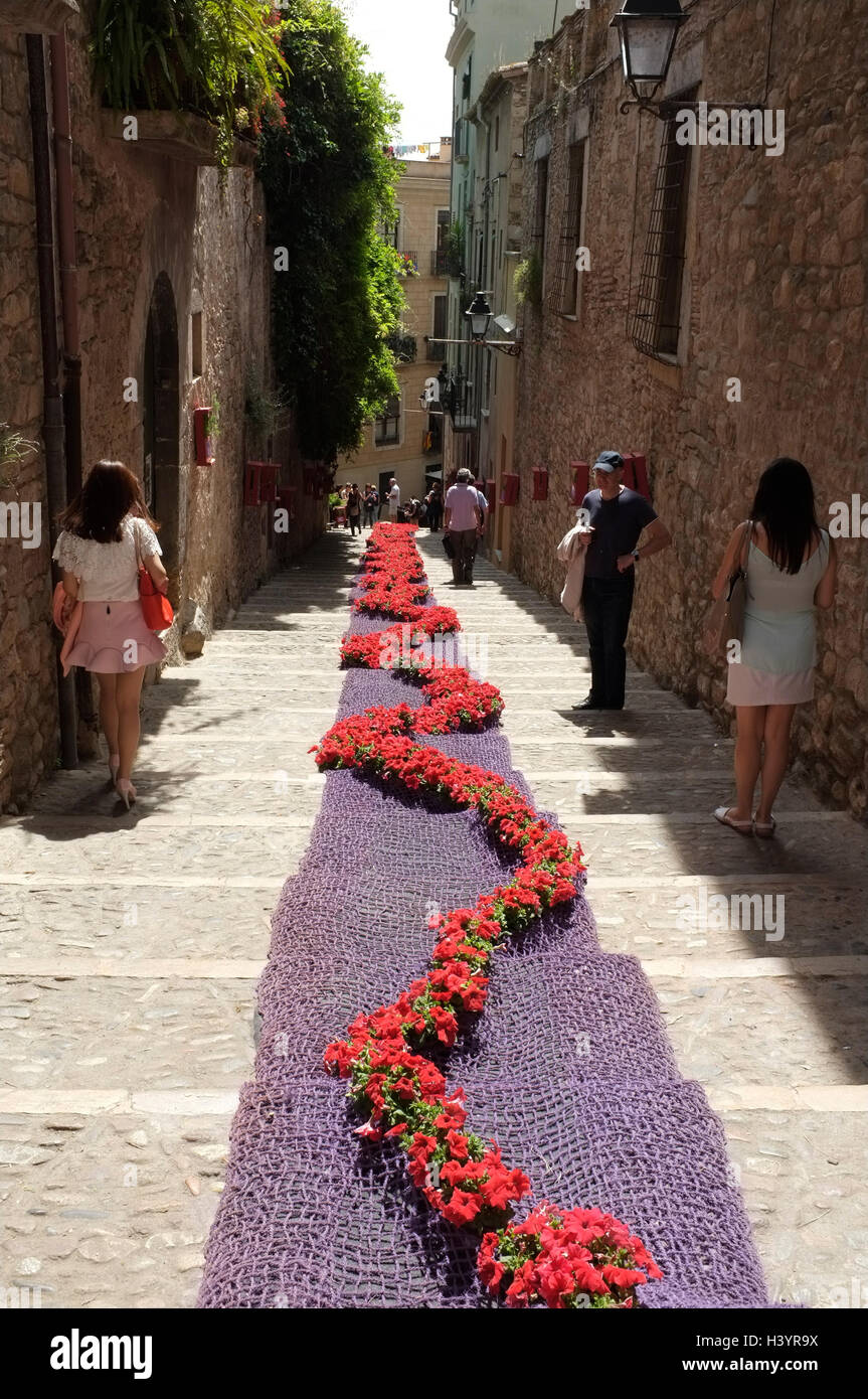 Girona Flower Festival Stock Photos & Girona Flower Festival Stock