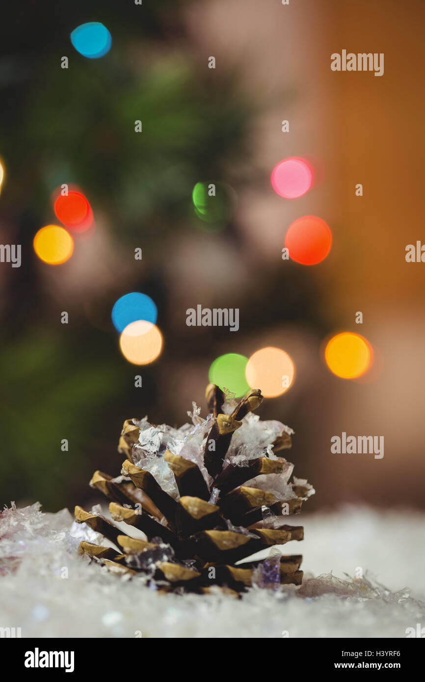 Pine cone close hi-res stock photography and images - Alamy