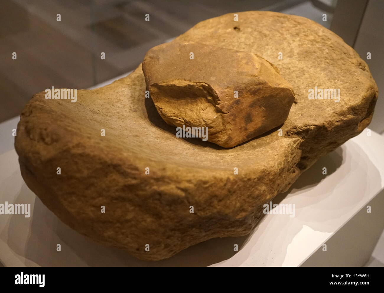 Saddle quern with rubbing stone used for grinding grain. From Wales