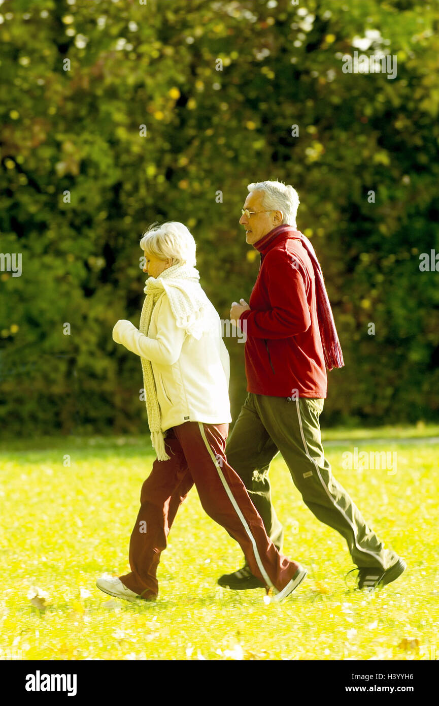 Meadow, Senior couple, jogging, side view, senior citizens, Best Age, leisurewear, leisure time, fitness, fit, agile, jog, run, prompt running, initiative, together, sport, sportily, motion, activity, vitality, cycle, edge the forest, autumn, season, autu Stock Photo