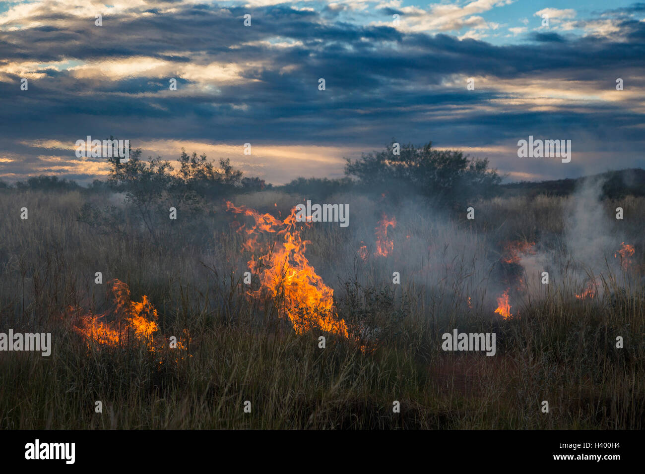 Fire on grassy field against cloudy sky during sunset, Newman, Western Australia, Australia Stock Photo