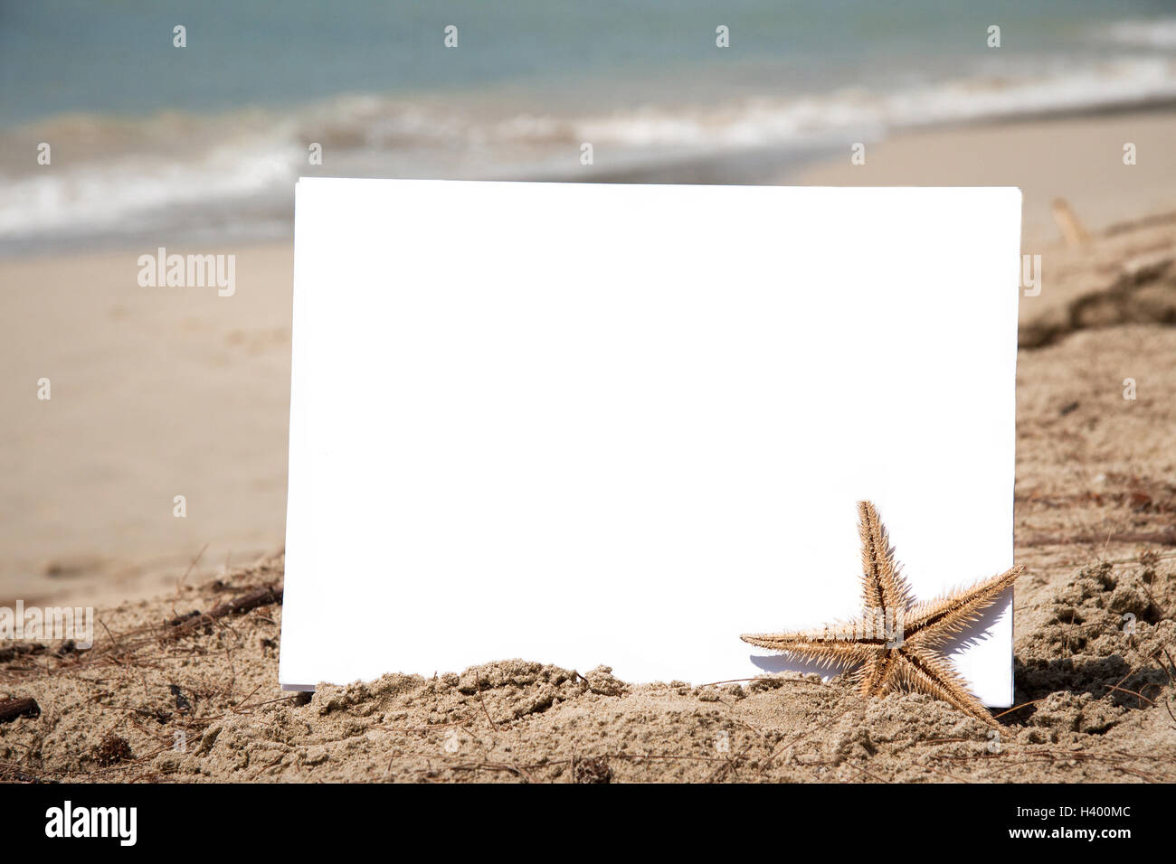 Blank piece of paper with a starfish on the sand with sea background Stock Photo