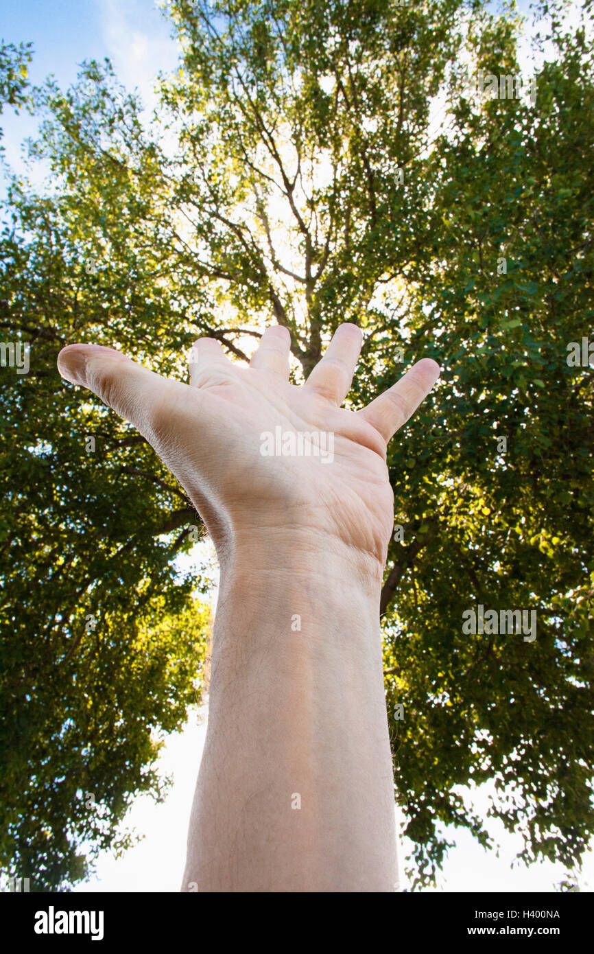 Cropped image of hand against trees Stock Photo