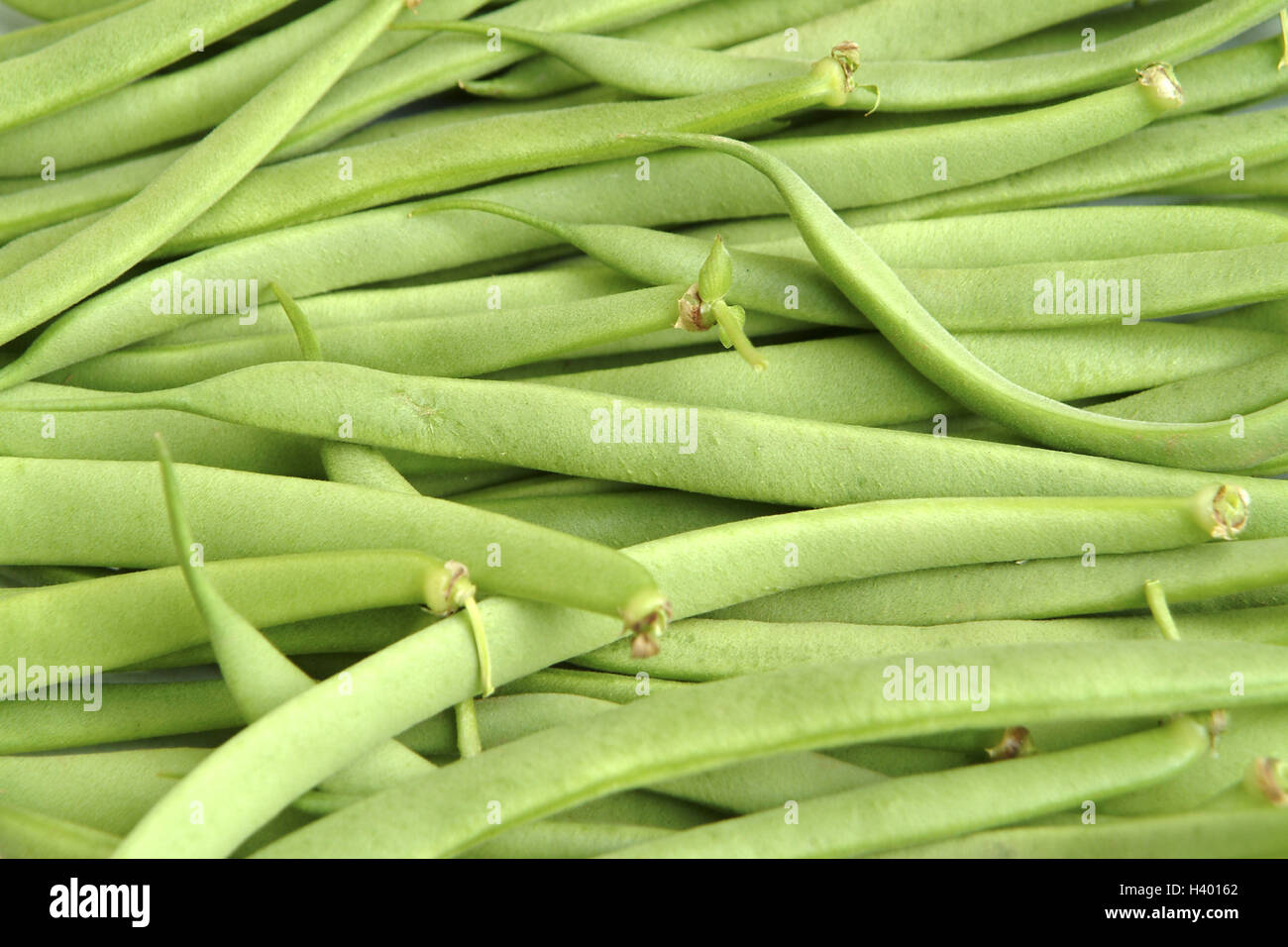 green dwarf beans, detail, Kenya beans, beans, vegetables, stick beans