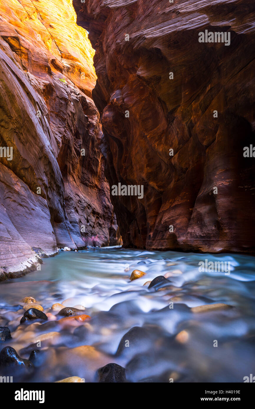 zion narrows river, Zion national park, Utah, United States Stock Photo