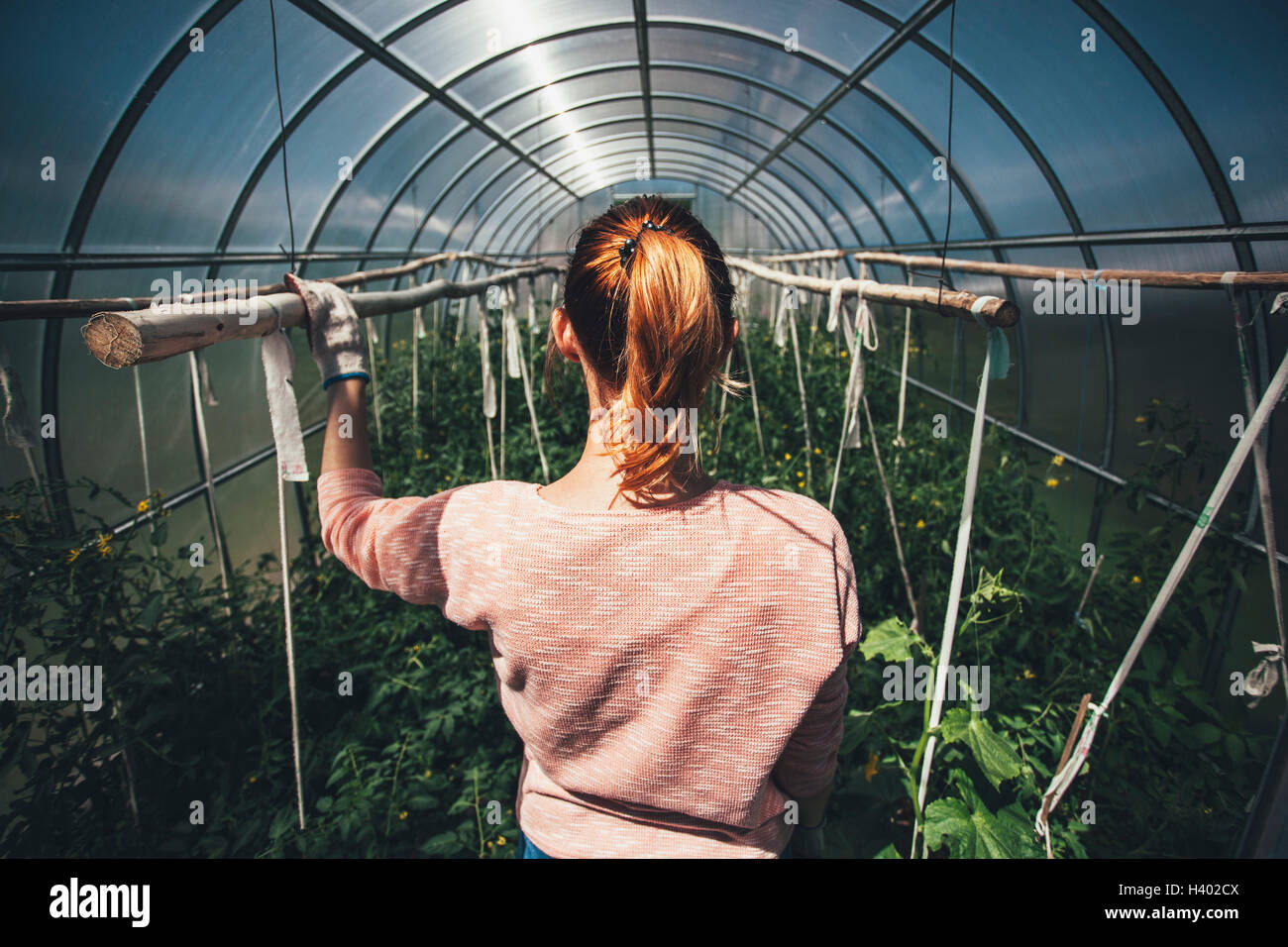 Rear view of woman standing amidst plants in greenhouse Stock Photo - Alamy