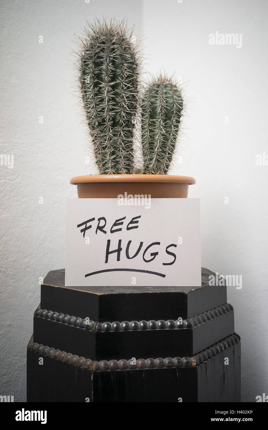 2.131 imagens, fotos stock, objetos 3D e vetores de Cactus hug