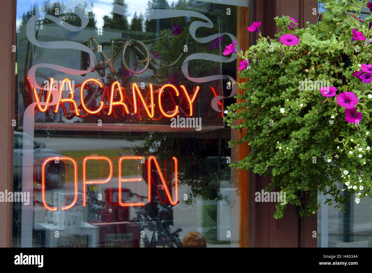 Neon Orchid -  Canada