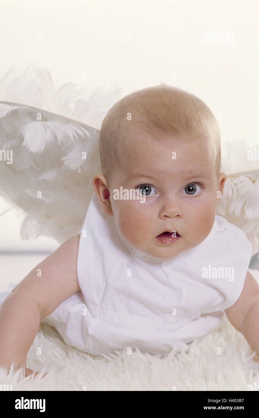 Baby, angel's wing child, infant, girl, wing, white, little angels, lambskin, lie, softy, snugly, Christmas, yule tide, x-mas, soft night angel, angel, angel's wing, childhood, innocence, lining, humor, Christmas baby, view camera, studio Stock Photo