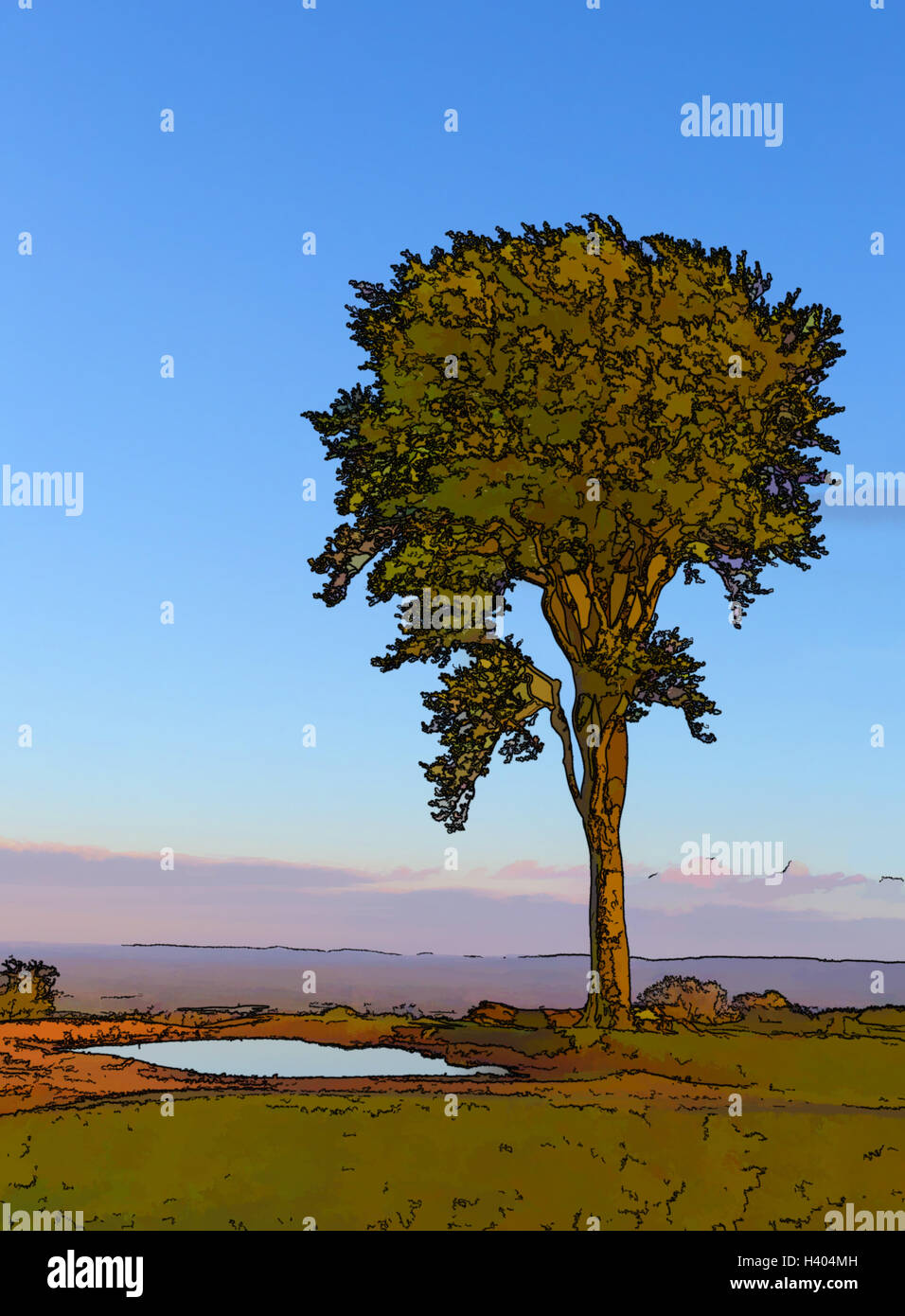 Single beech tree by a small pond against blue sky illustration Stock Photo