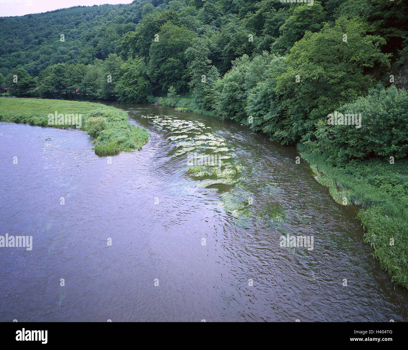 Belgium, Ardennes, Menbre, river Semois, detail, summer, Europe ...