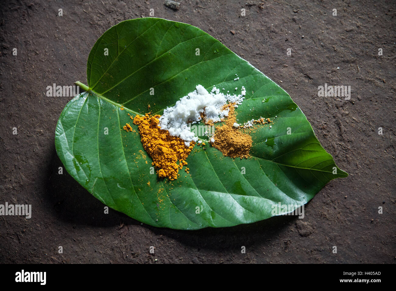 Spices on a leaf for cooking in Jharkhand, India Stock Photo
