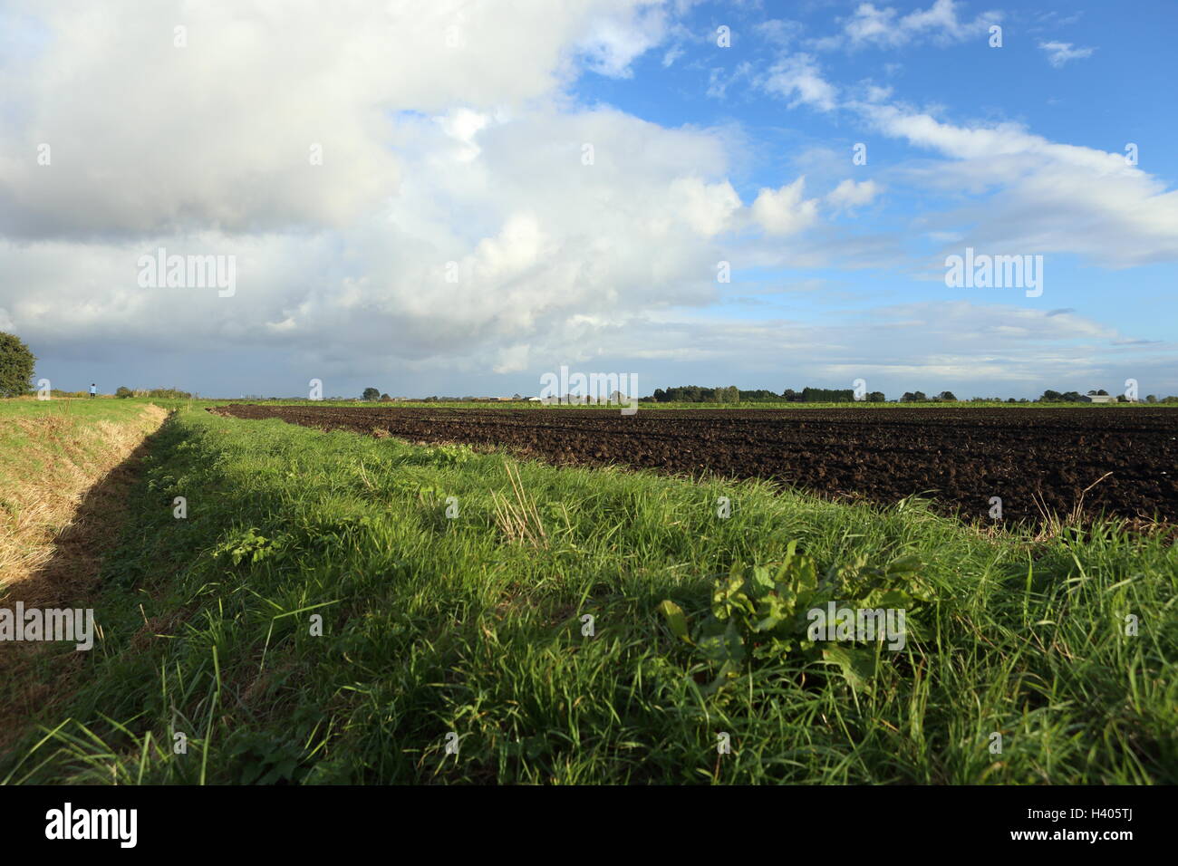 Dark soil in Lincolnshire Fenland Agriculture Big blue sky with