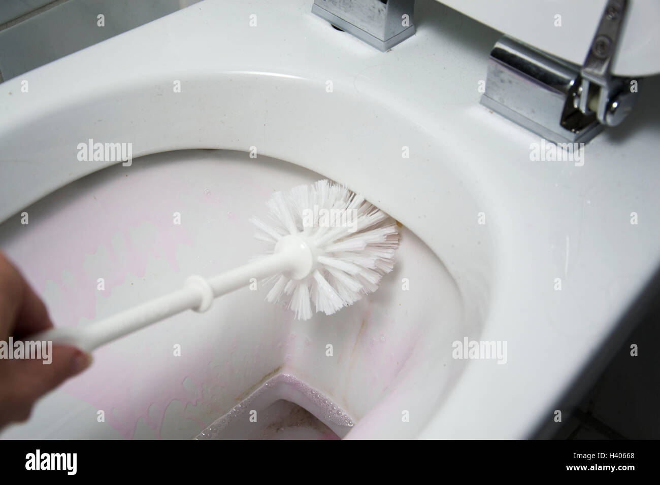 A woman cleans a bathroom toilet with a scrub brush Stock Photo