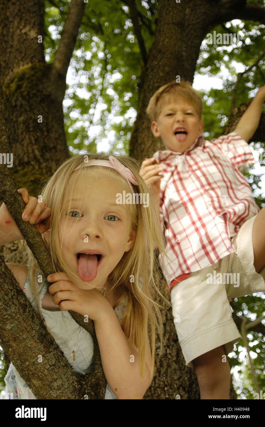Tree, girl, boy, climb, show tongue, from below, children, childhood, two, siblings, friends, together, naughtily, bad habit, education, cheeky, courageously, high spirits, high-spirited, branches, play, height, danger, leisure time, carefree, lighthearted, summer, cheek, outside Stock Photo
