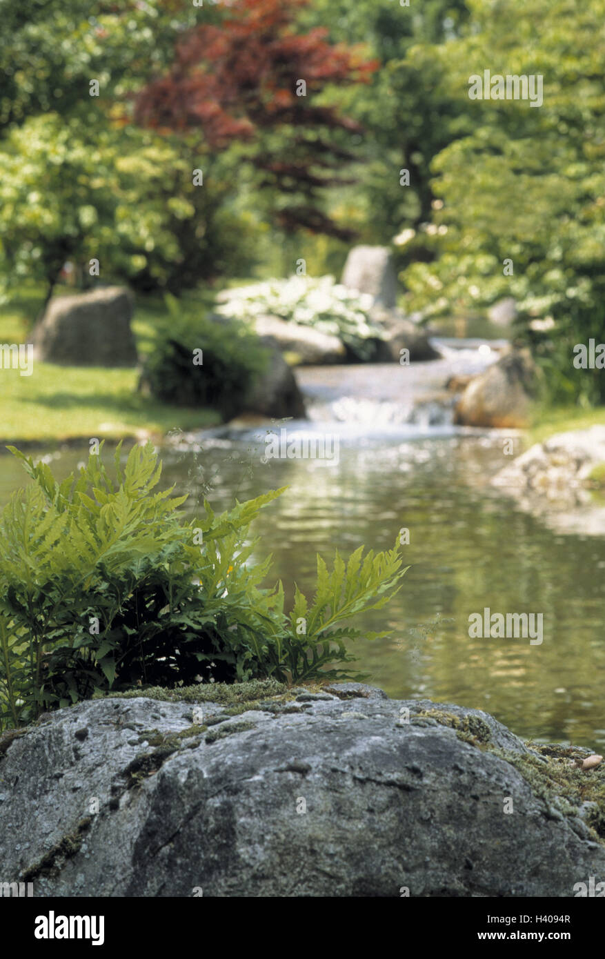 Belgium, Hasselt, Japanese garden, brook, Europe, Western, Europe