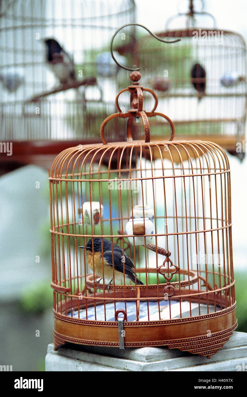 China, Hong Kong, city center, bird market, cages, detail, Stock Photo