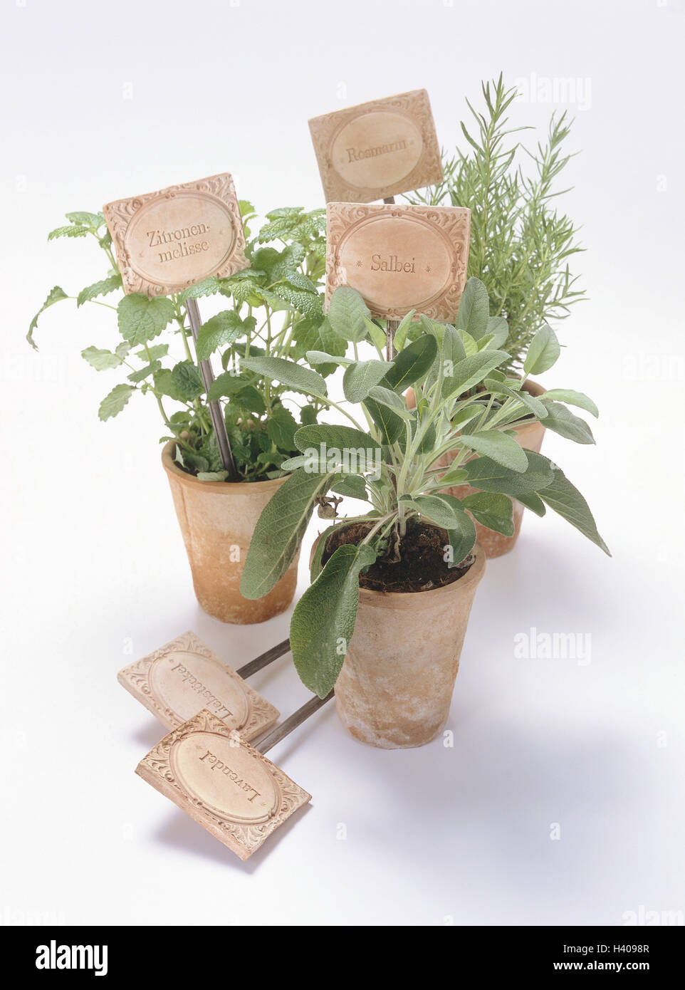 Flowerpots, herbs,, Signs Tontöpfe, seasoning signs, name, plants