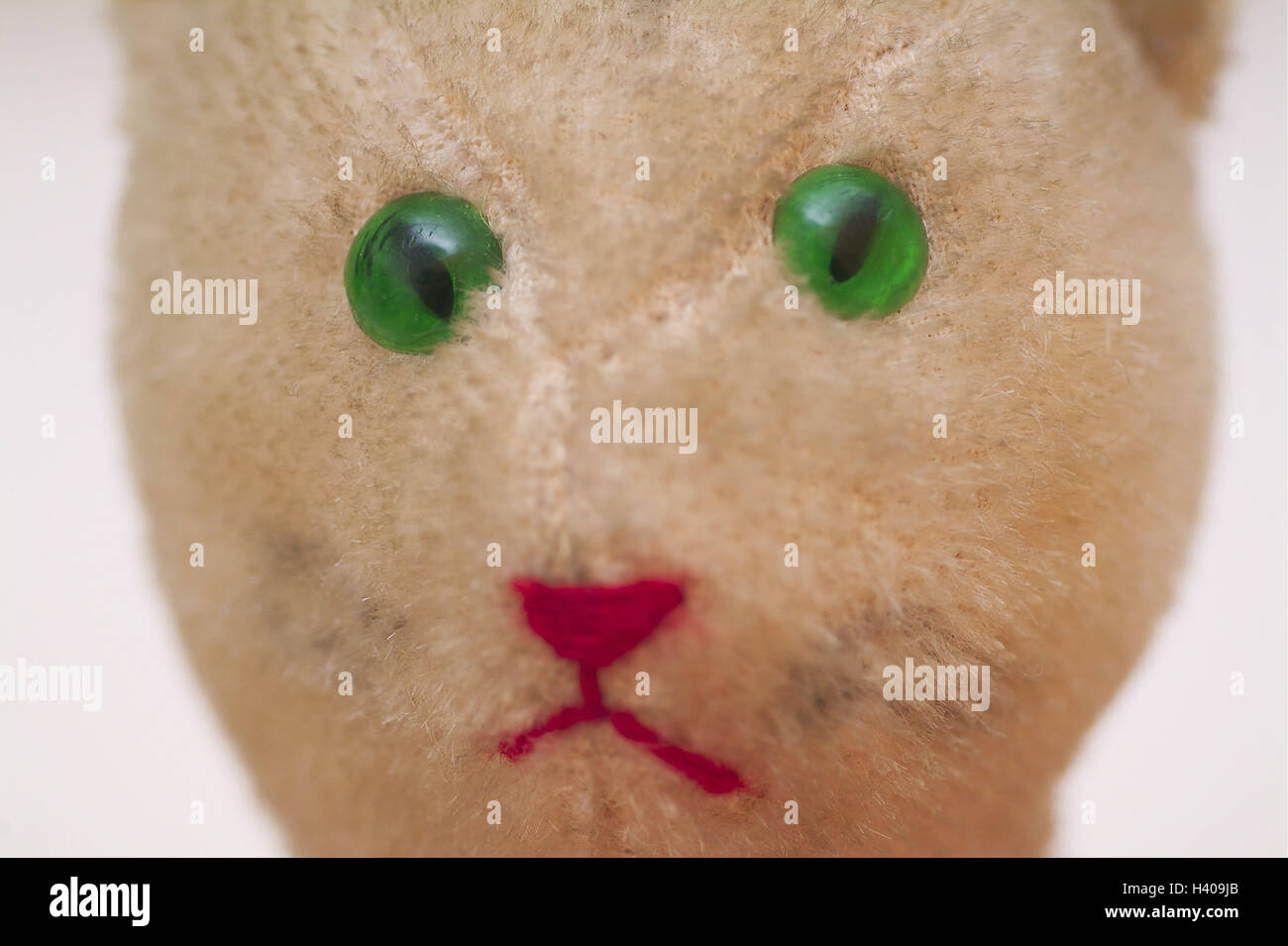 Soft toy, cat, detail, look, toys, soft animal, nonsense animal, soft toy, substance cat, nostalgically, old, uses, worn-out, discards, forget, portrait, colour eyes green, view sadly, recollection, childhood, product photography, Still life Stock Photo