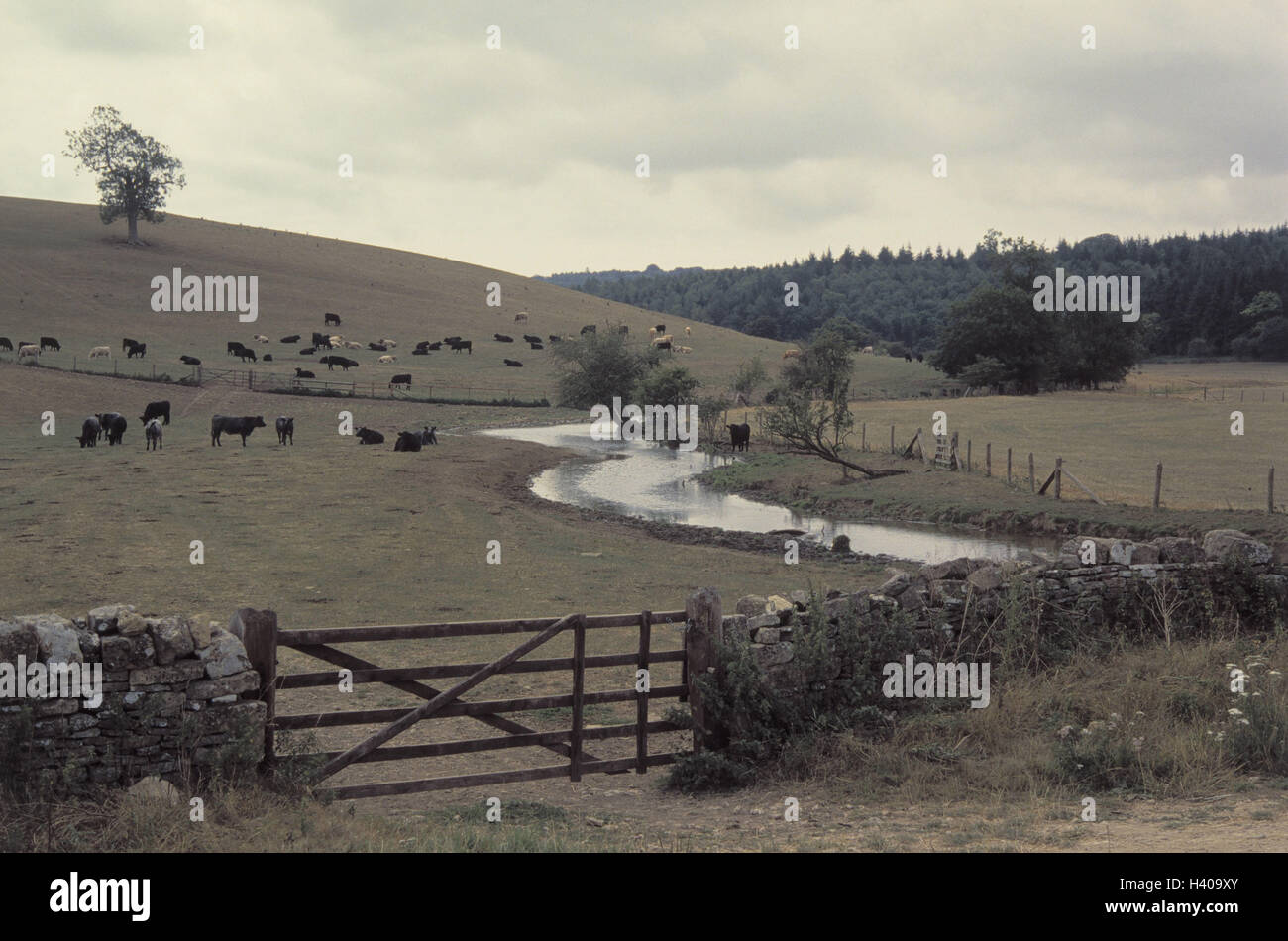 Withington hires stock photography and images Alamy