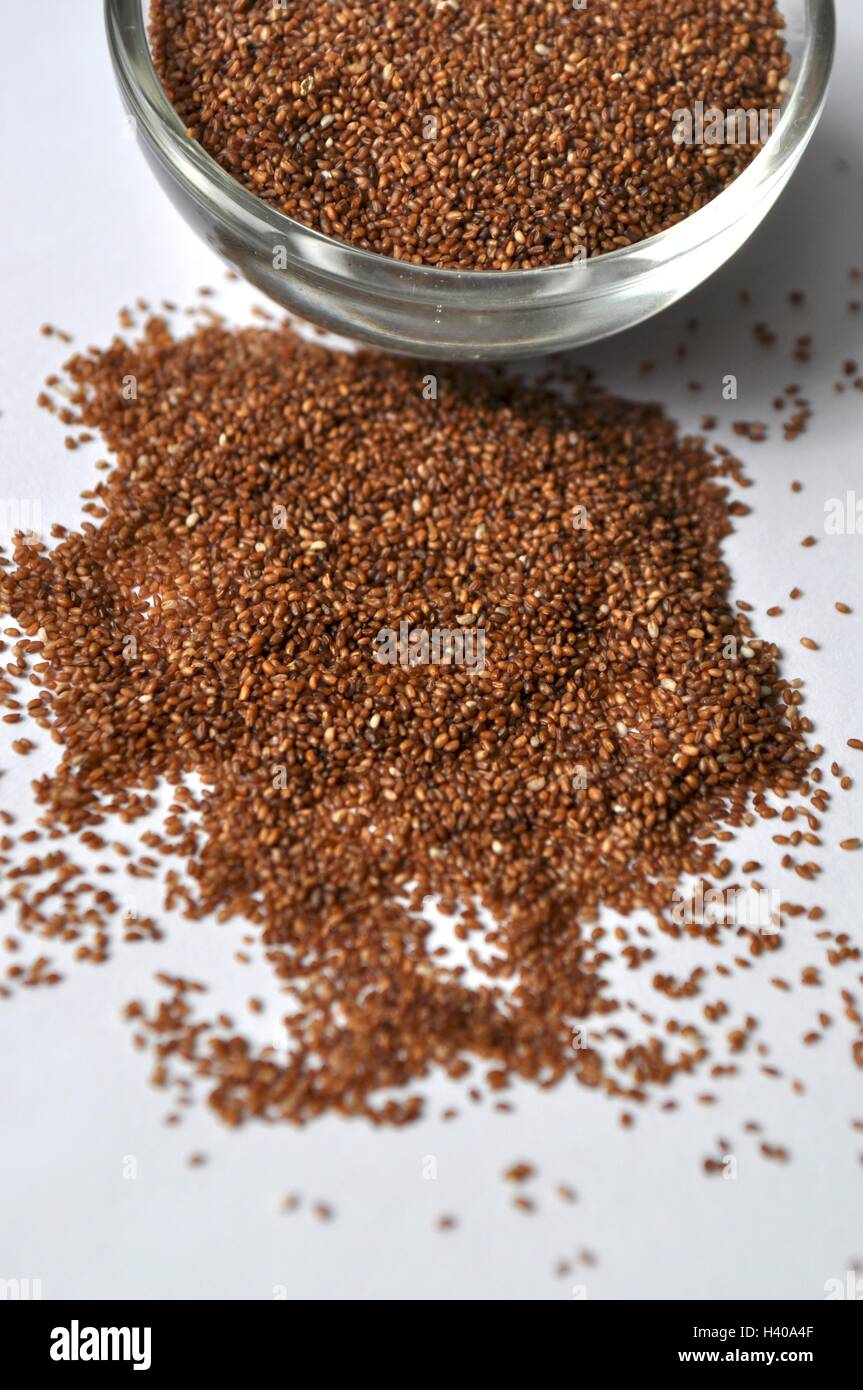 African teff grain the smallest grain, glutenfree, closeup Stock