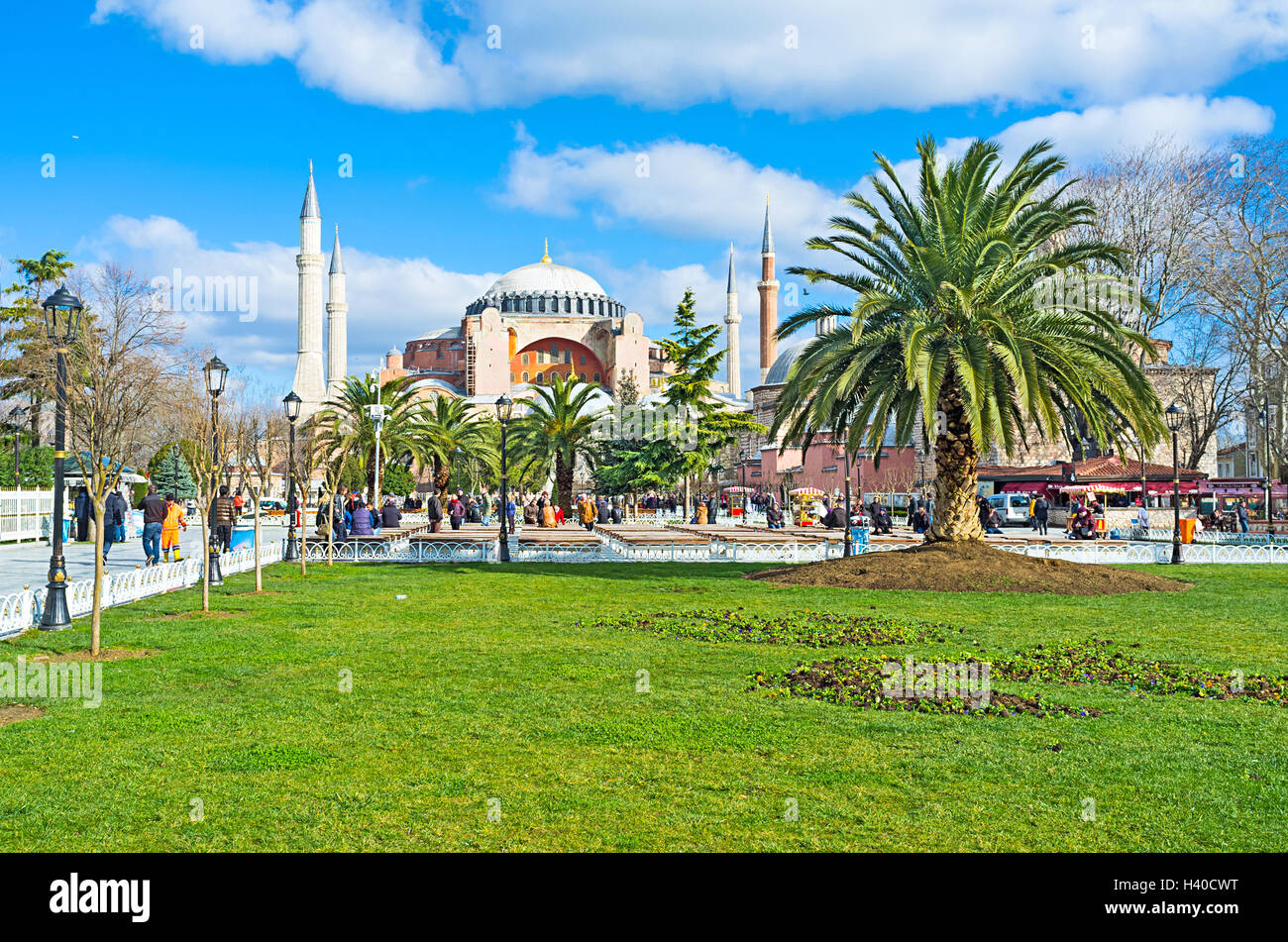 The Hagia Sophia is hidden behind the palms of the Sultanahmet park ...