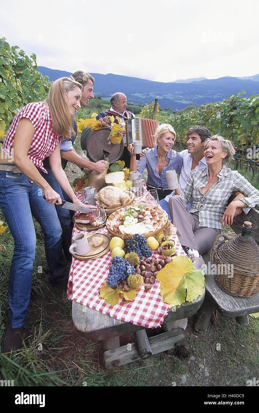 Vineyard, group, men, women, törggelen, man, concertina, outside, Italy