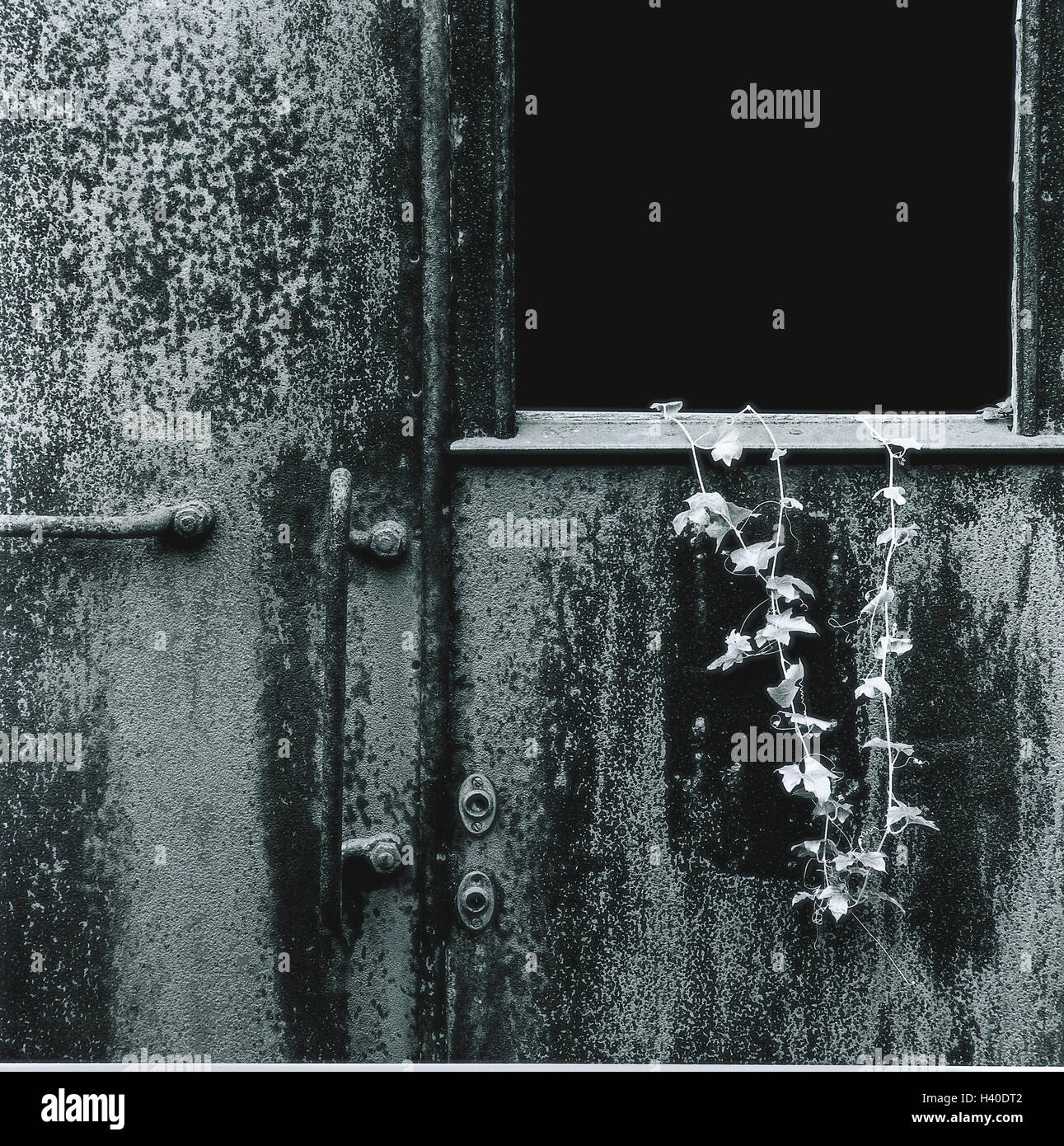 Nostalgia, railroad car, old, Climbing plant, s/w, stopped outside