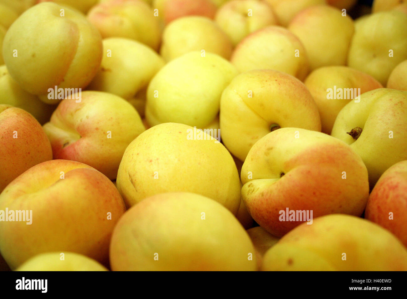 Apticots Hi Res Stock Photography And Images Alamy