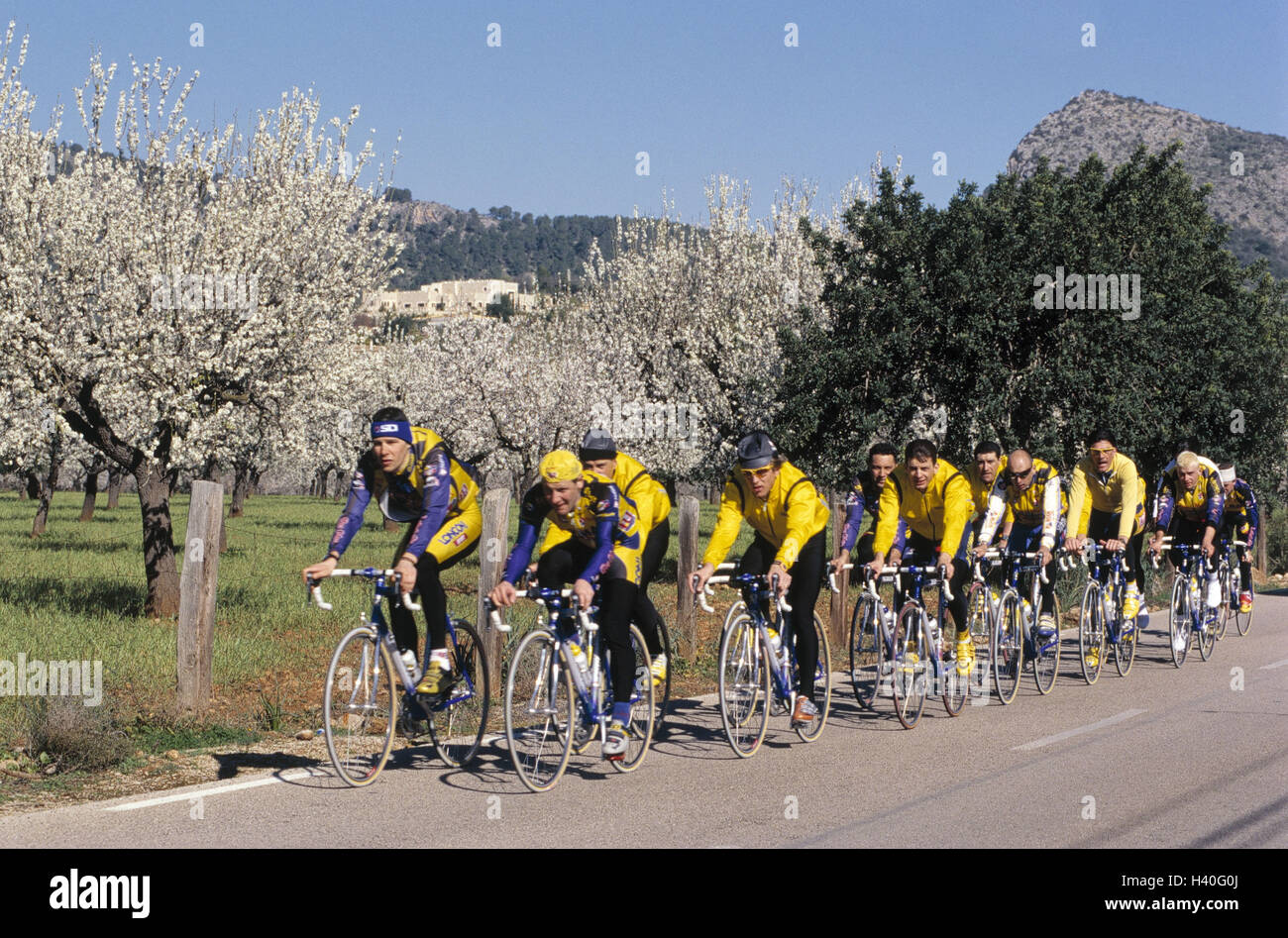 Spain, Majorca, street, racing cyclist, group, no model release the Mediterranean Sea, the Balearic Islands, island, country road, sportsman, cyclist, team, racing wheels, riding of a bike, drive, Rennradfahren, cycling tour, bicycle driving, sport, cycli Stock Photo