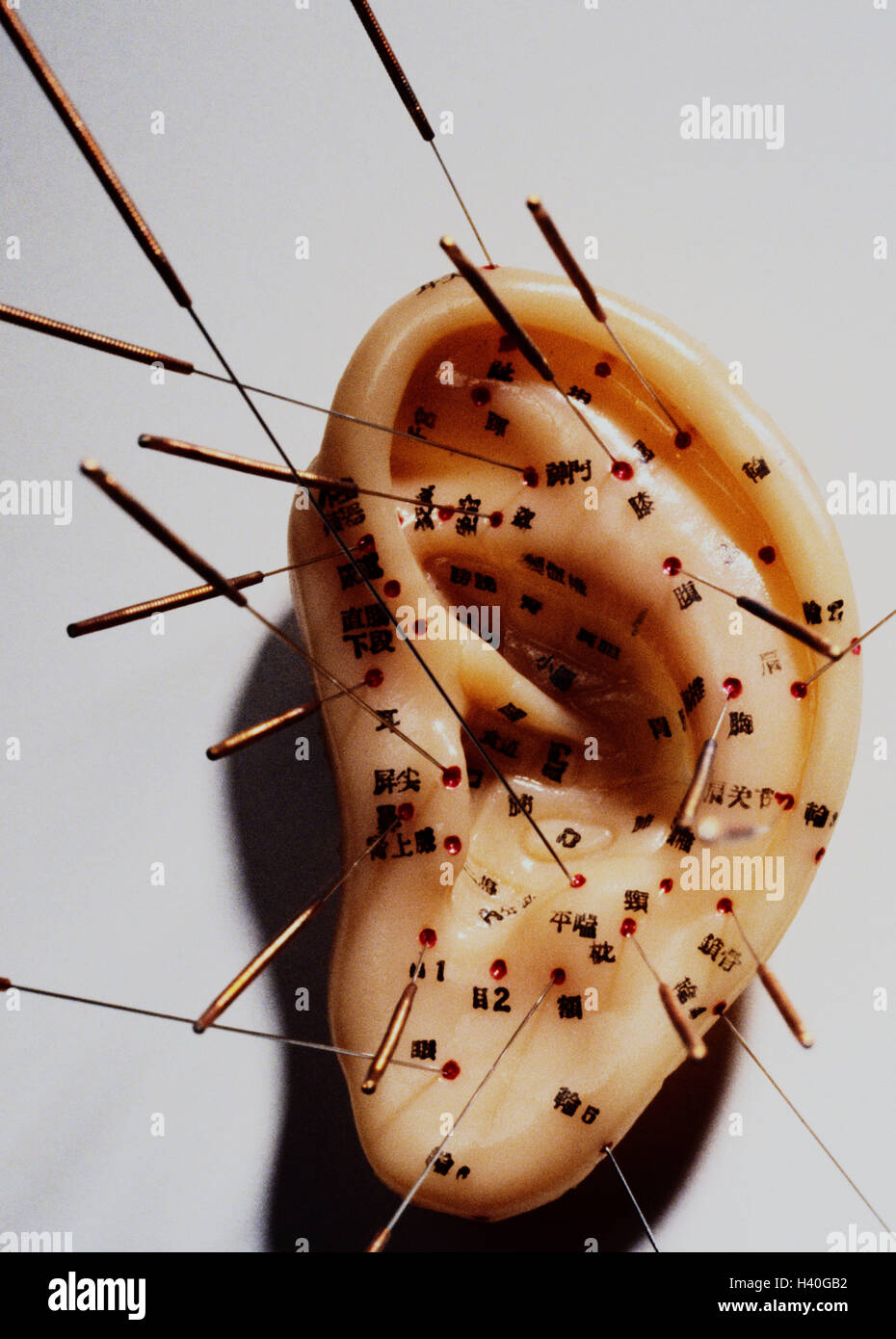 Acupuncture, ear, model, acupuncture dots, acupuncture needles