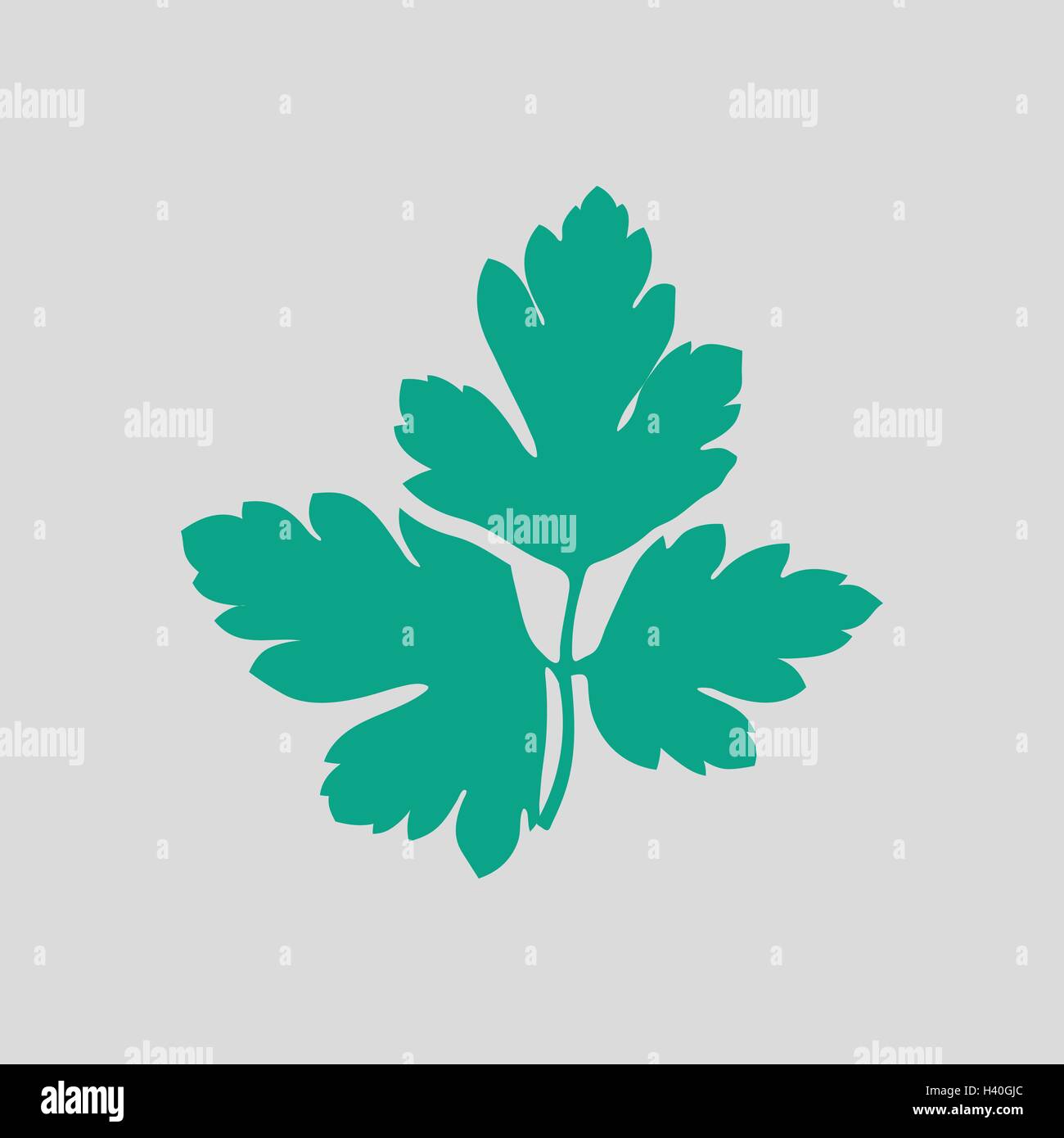 Parsley icon. Gray background with green. Vector illustration Stock ...