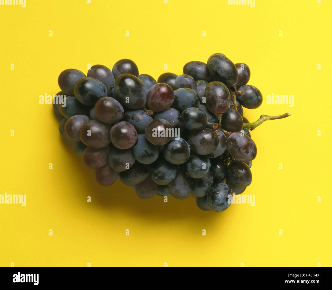 Grapes, blue, grapes, wine fruits, fruits, grapes, fruit, vitamins, rich in vitamins, food, Still life, product photography, subsoil yellow, conception Stock Photo