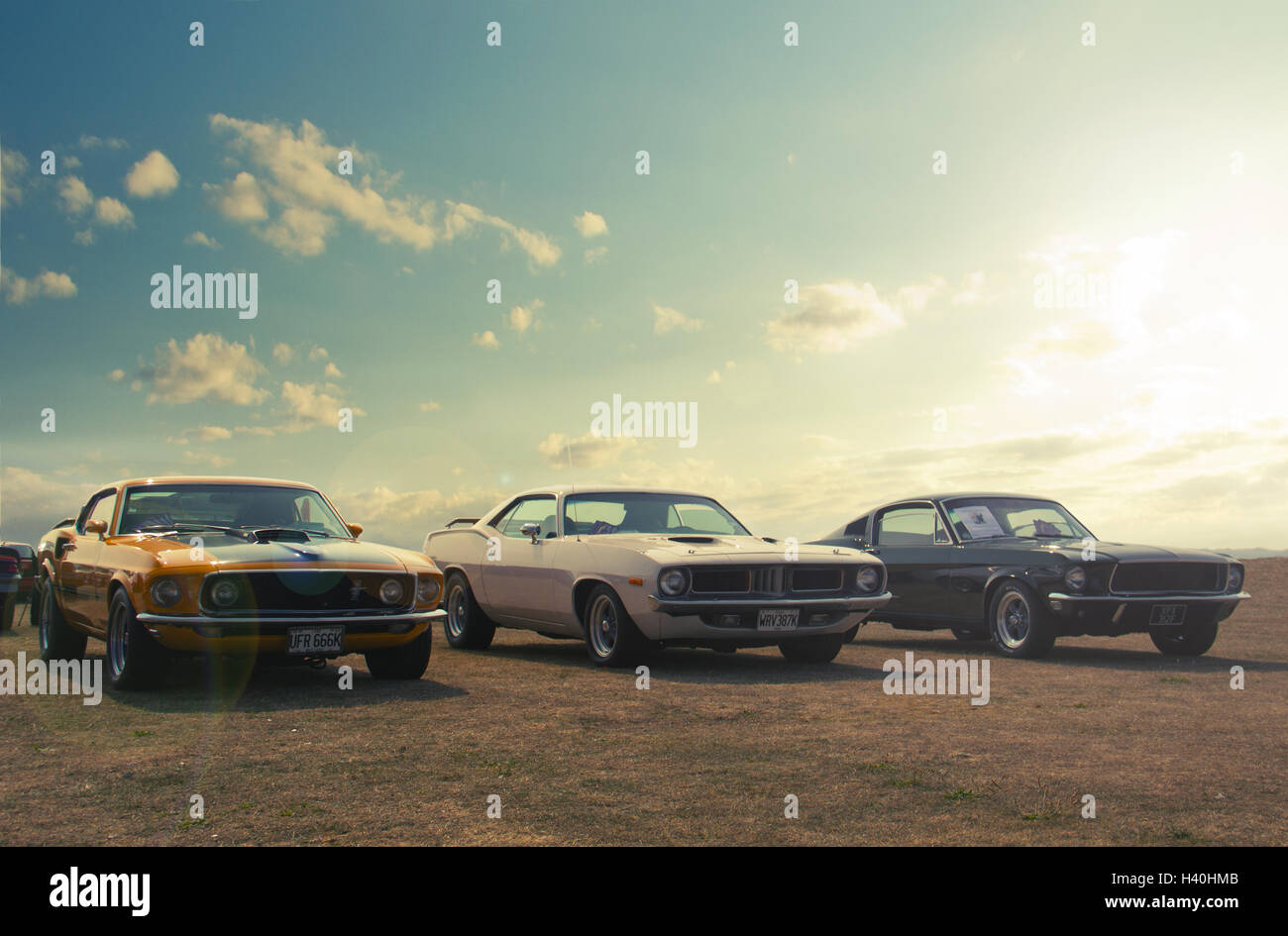Muscle cars Stock Photo