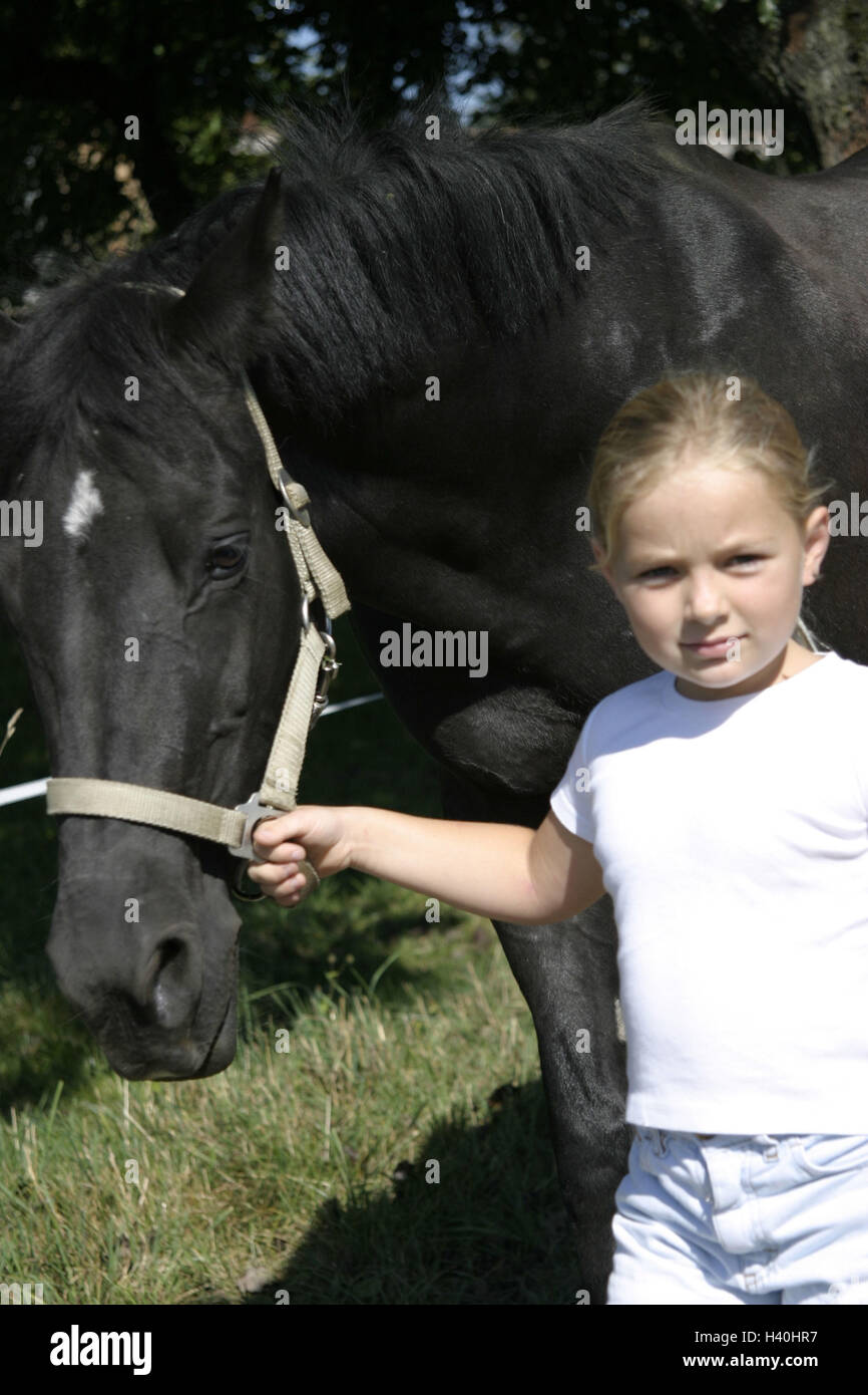 Horse's court, girl, horse, halter, lead Gestüt, bleed court, child, 8 years, childhood, friendship, horse's friendship, affection, animal, animal-loving, animal-loving, fascination, size difference, leisure time, holidays, summers, outside, horse's halte Stock Photo
