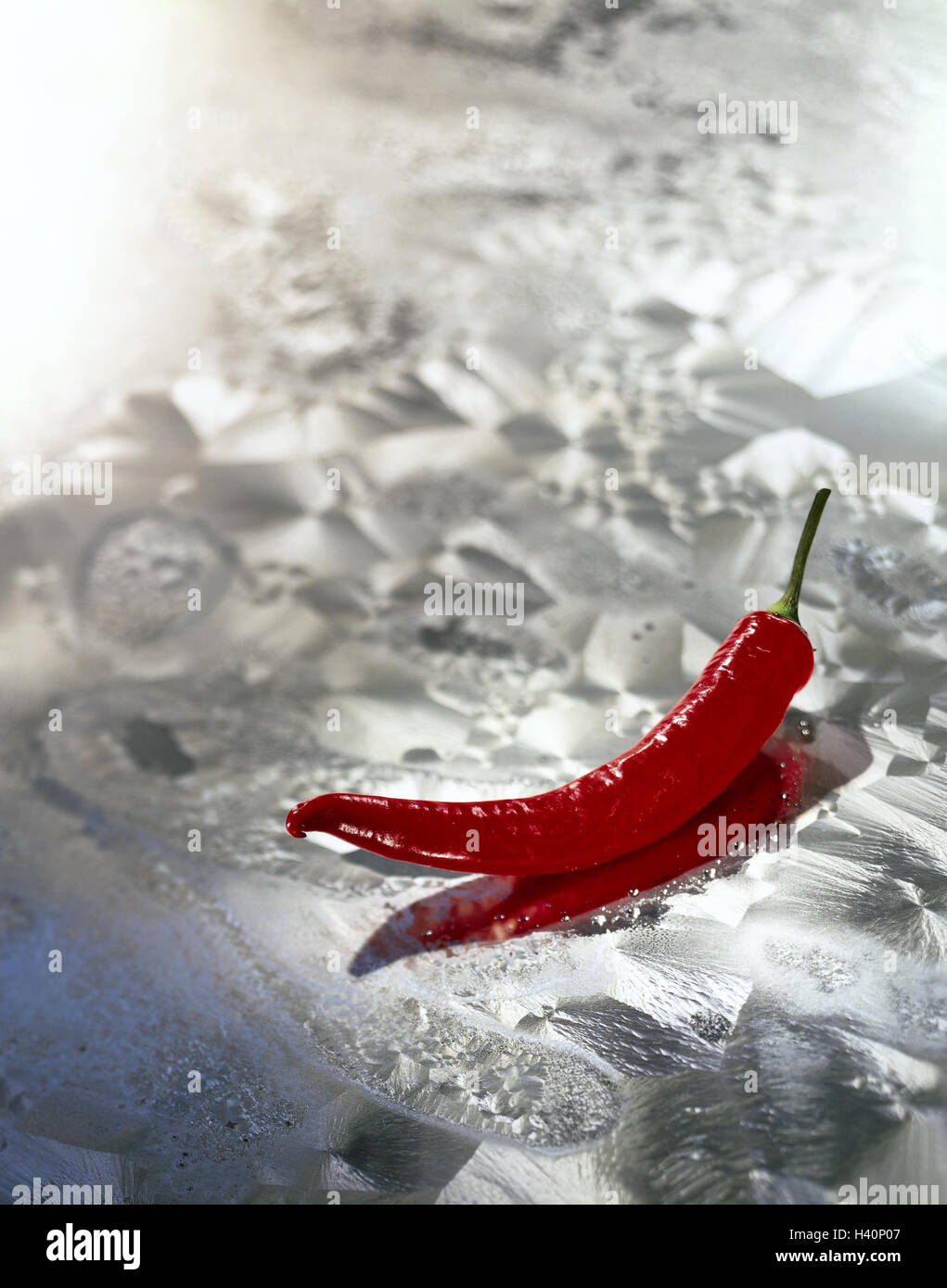 Chilli, red, reflector, freezes over, frost flowers, hot, sharpness, spicy, spice, spice, paprika, Chilli, chilli pod, icon, contrast, difference, hotly, coldly, situation, perilously, explosive, hot, highly currently, delicately, explosive, parchingly, i Stock Photo