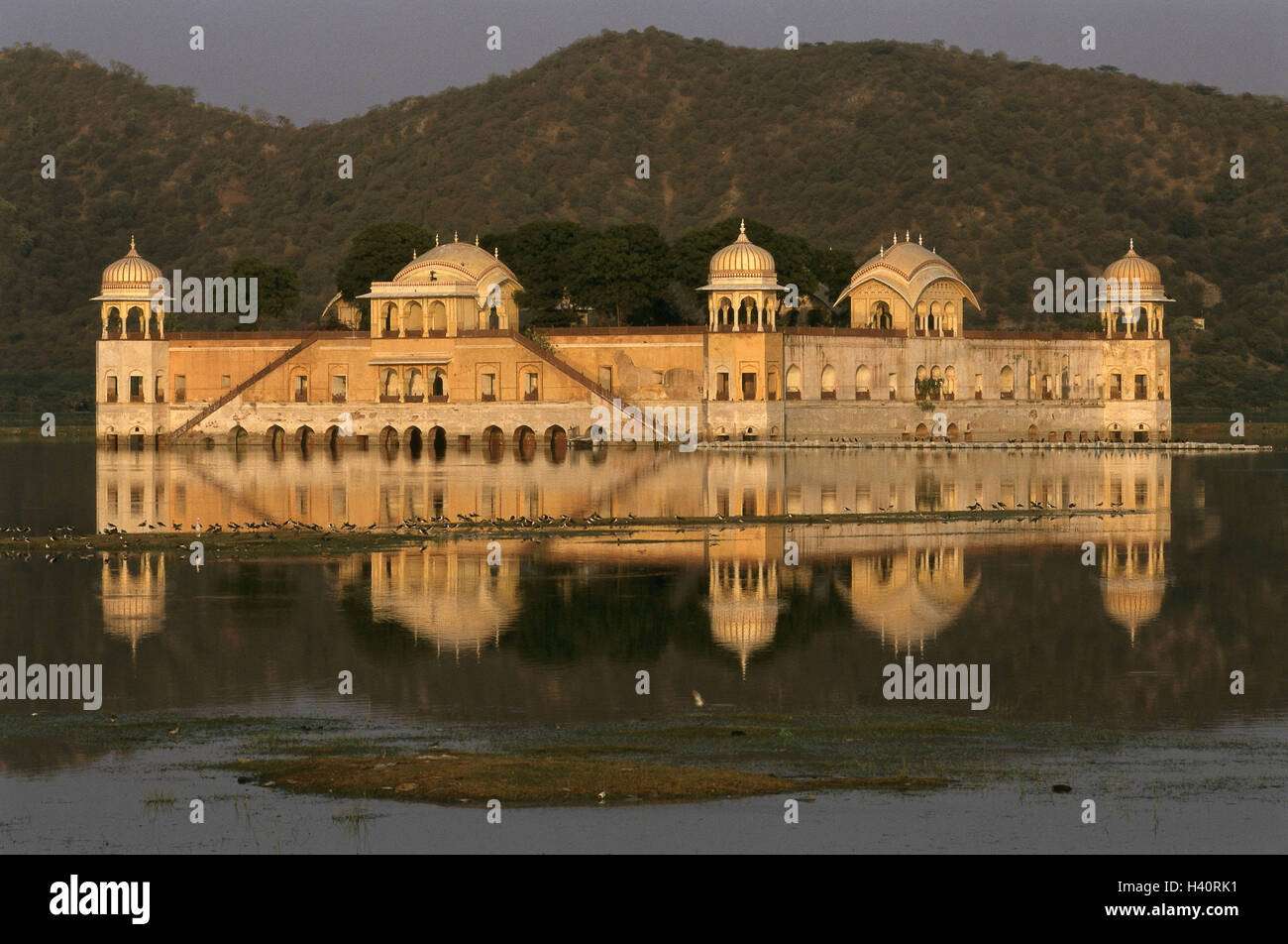 India, Rajasthan, Jaipur, water palace, evening light Stock Photo Alamy