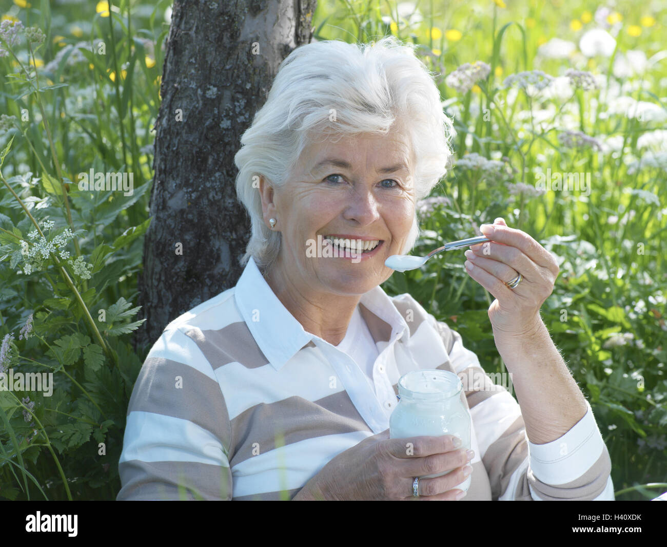Garden, senior, happily, eat, yoghurt, portrait, meadow, summer, retirement, pension, leisure time, détente, rest, Best of all Age, old person, senior citizens, woman, happily, contently, fit, agile, young remaining, actively, food, food, natural product, lacteal product, natural yoghurt, yoghurt glass, glass, spoon, symbolically, nutrition, healthy, natural, vitality, life energy, health, vitality, enthusiasm, tuning positively, attitude to life, joy of life, lighthearted, tree, lean, sit, enjoy, flower meadow, nature, outside, summery, Stock Photo