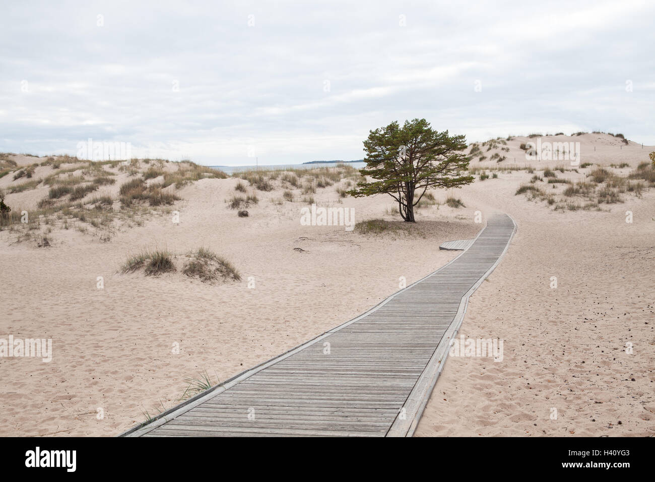 Wooden Path and Sand Dunes at Yyteri Beach near Pori, Finland Stock Photo