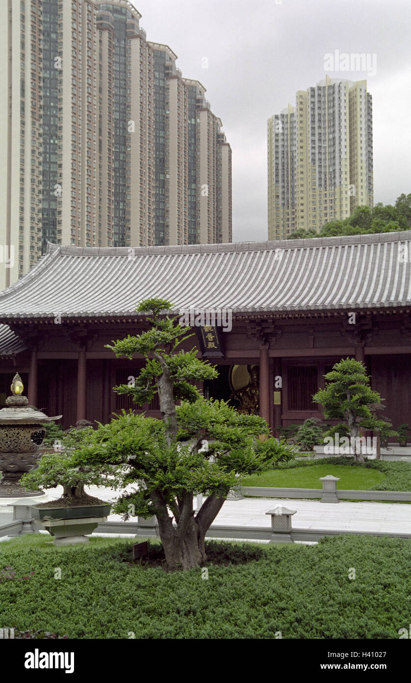 China, Hong Kong, temple, detail, garden, bonsai, background, high