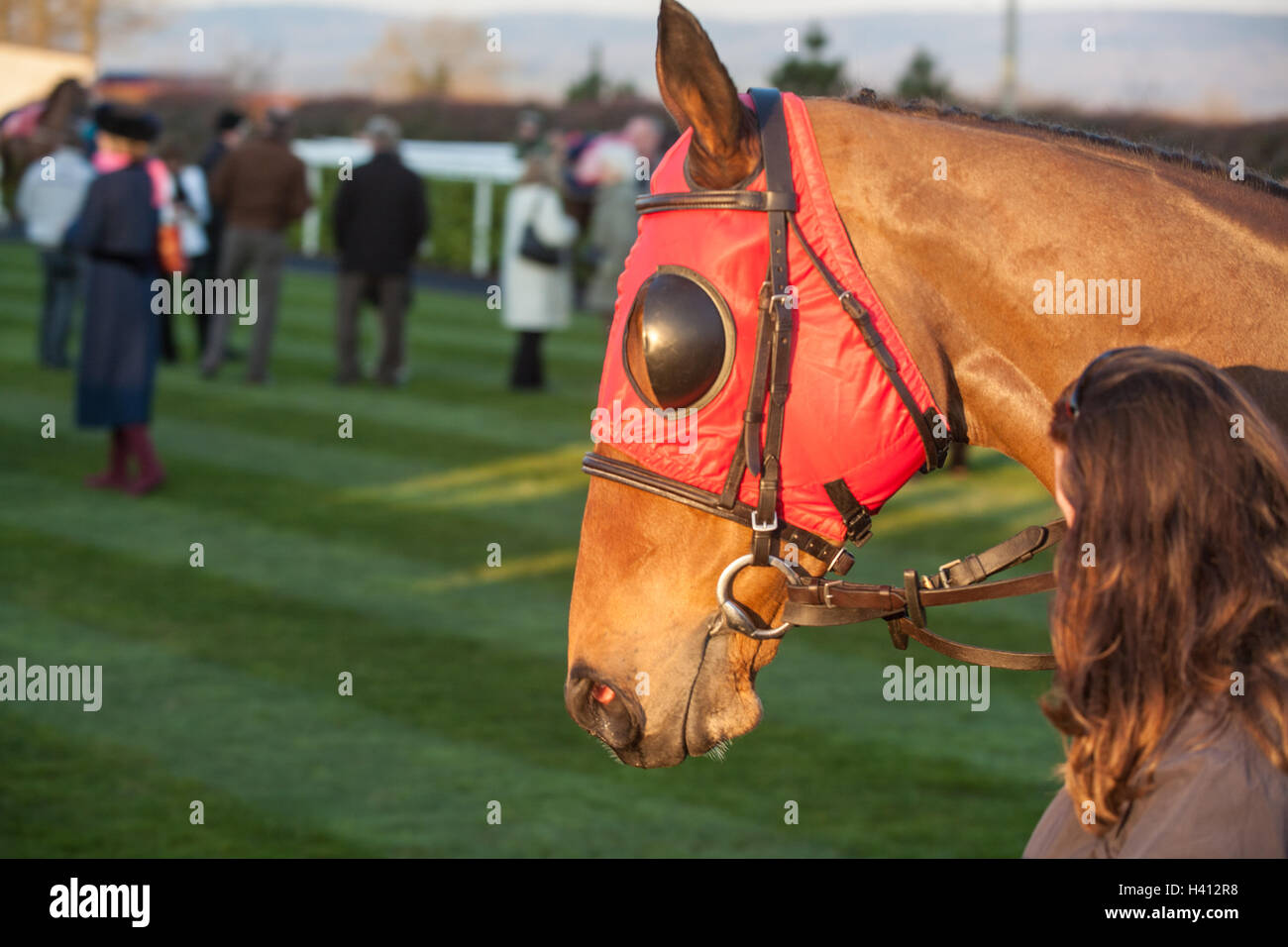 At Wincanton horse racing course,Somerset,England,U.K.,Europe Stock