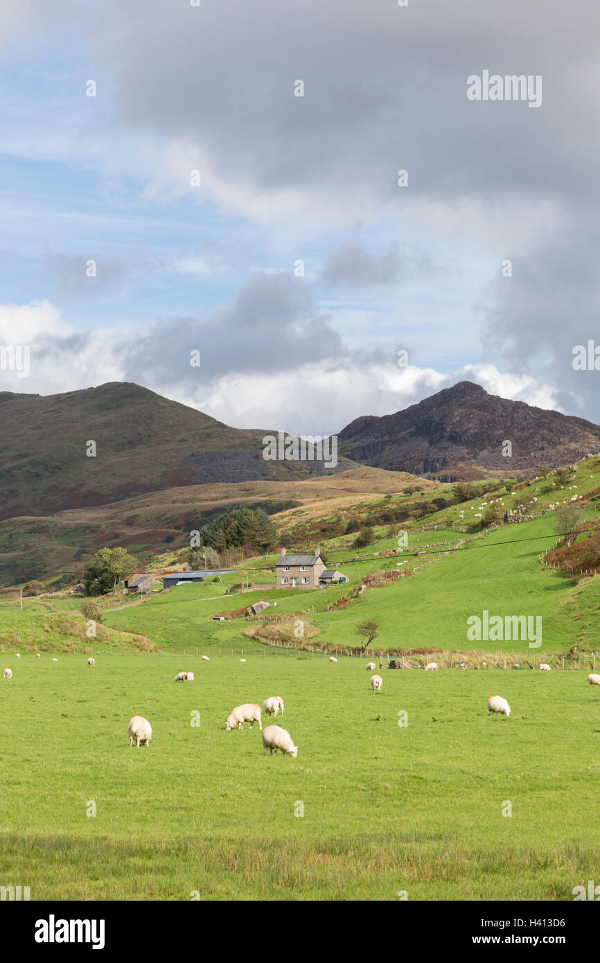 Cwm Pennant valley, Snowdonia National Park, North Wales, UK Stock Photo