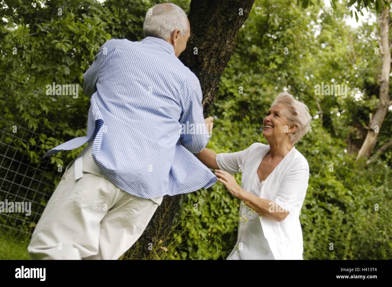 Garden, tree, senior pair, catches  plays  Summers, leisure time, fun, enjoyments, zest for life, happily, falls in love, love, enterprising, pair, young-remained seniors, well Agers, laughs, cheerfully, together, freely, light-heartedness Stock Photo