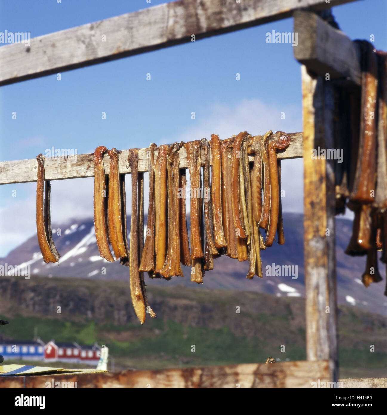 Denmark, Greenland, Qeqertarsuaq, wooden rack, fish, film, hang, to dry ...