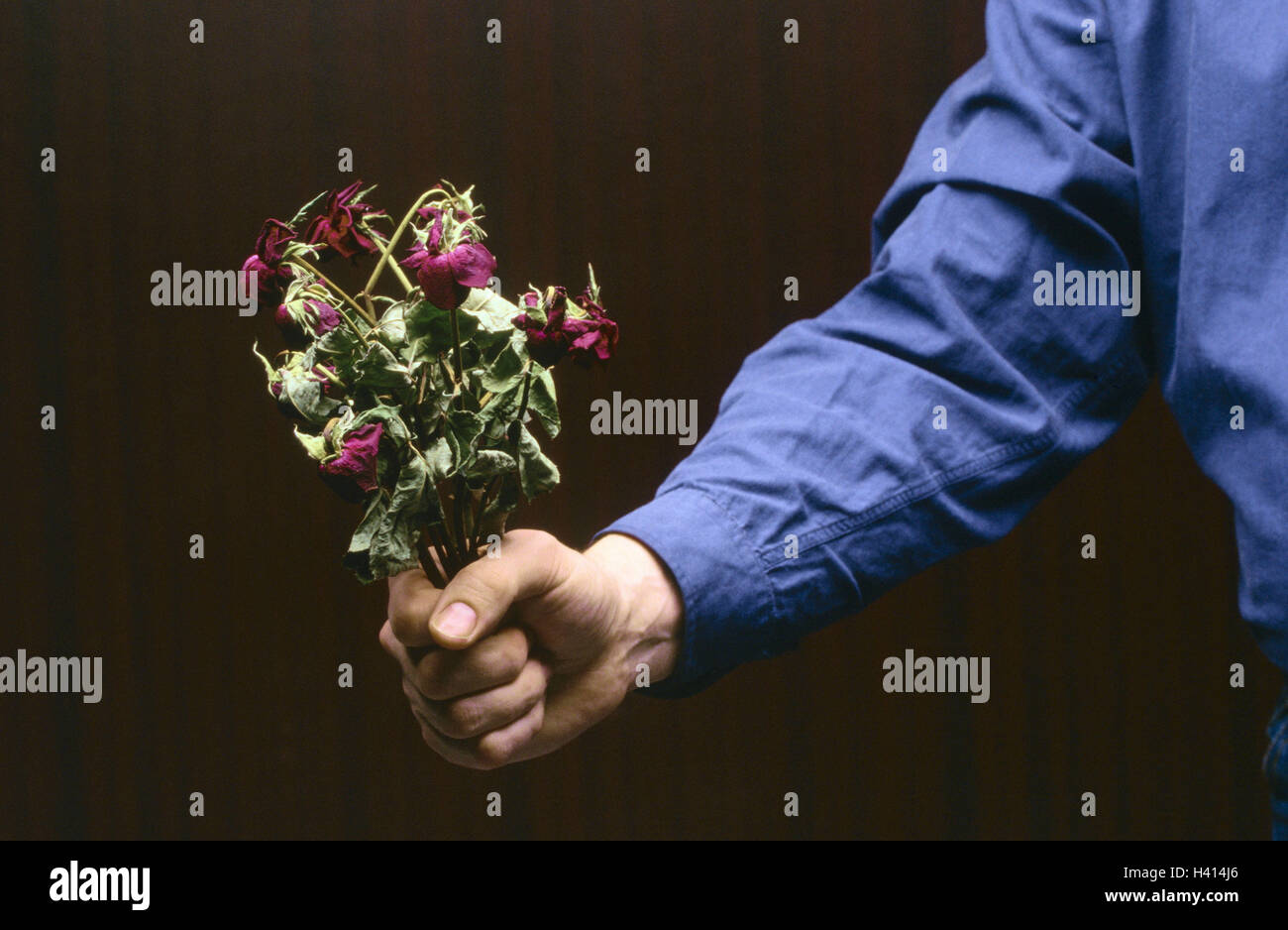Man, detail, arm, bunch of roses, wilts, hand, Knight of the Rose, bouquet, flowers, roses, cut flowers, withered, unsightly, fadeds, dries up, broken, old, wickedly, icon, conception, love, transitoriness, lability, Kurzlebigkeit, unhappily, lovesickness Stock Photo