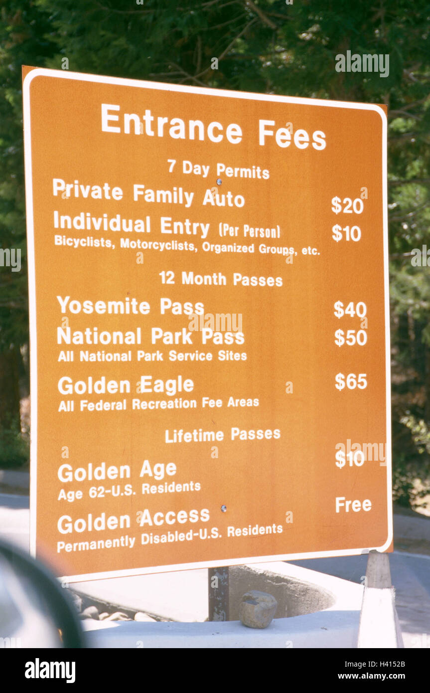 The Usa California Yosemite National Park Big Oak Flat