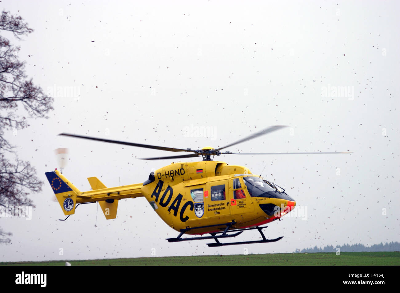 Meadow, ADAC rescue helicopter, landing, ADAC, rescue helicopter, helicopter, helicopter, accident help, first aid, flight rescue, rescue, help, emergency, entry, emergency entry, accident, lifesaver, no property release, Stock Photo